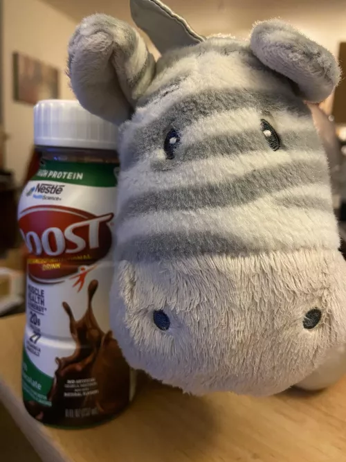 Zed is here to keep us company while we work on our writing. Also weโre having Boost for dinner, because some days our body just doesnโt want to play nice. ๐คทโโ๏ธ๐