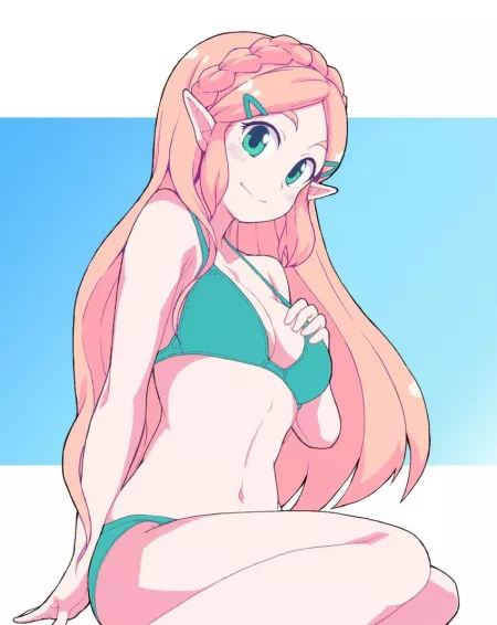zelda zelda