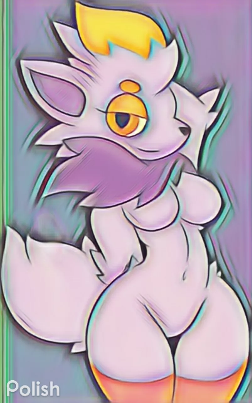 Zora The Zorua Zora The Zorua
